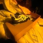 Louis Vuitton Men’s Trainers
