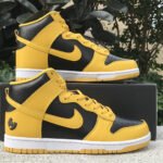 Nike SB Dunk High